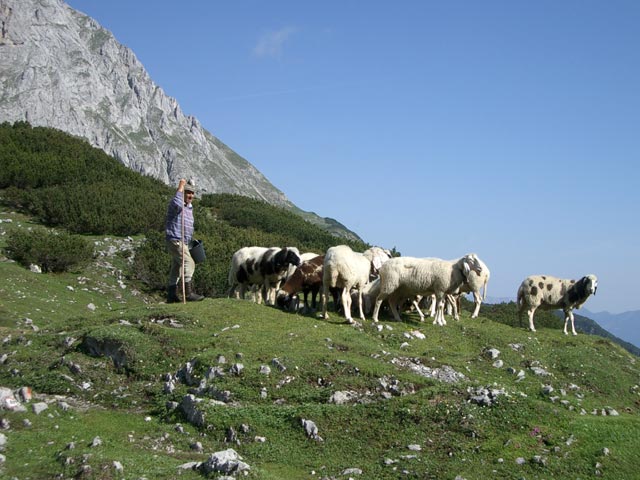 Hirte bei der Coburger H&uuml;tte