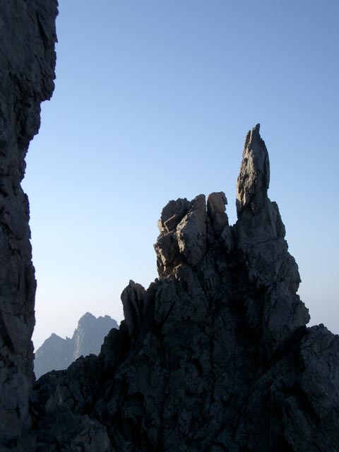 auf der S&uuml;dwestflanke des Dremelspitz (31. Juli)