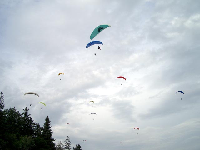 Paragleiter über der Hohen Wand