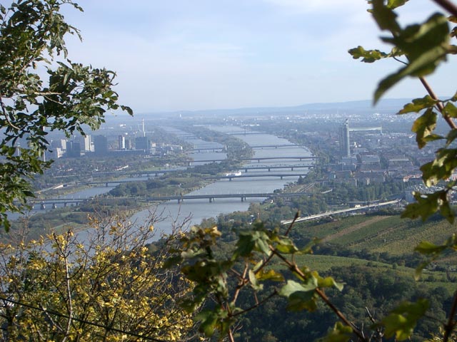 Donau vom Leopoldsberg aus