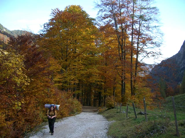 Daniela auf Weg 801 in Russenleiten (23. Okt)