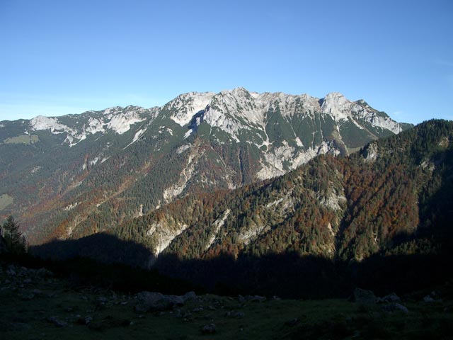 Zahmer Kaiser (24. Okt)