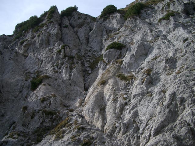 Jubiläumssteig: Aufstieg aus dem Graben (25. Okt)