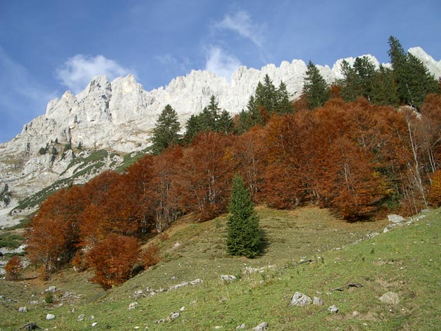 oberhalb der Gaudeamush&uuml;tte (25. Okt)