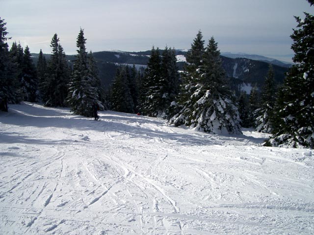 Stuhleckabfahrt Schiweg