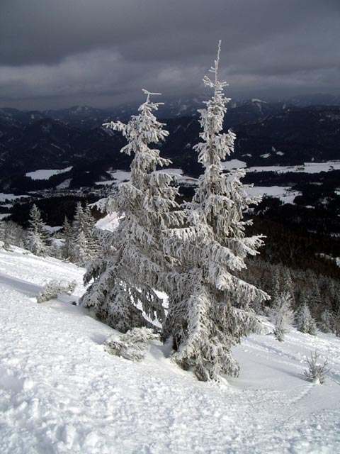 im freien Gel&auml;nde