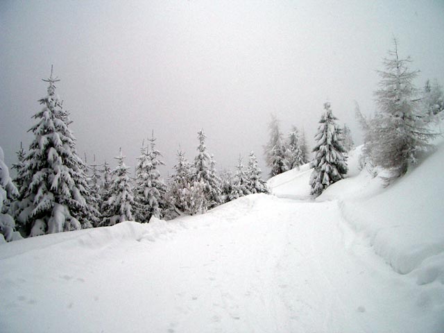 Verbindungsweg zwischen der Bergstation des Berglifts und dem Schigebiet D&uuml;rrkogel