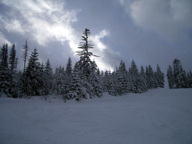 D&uuml;rrkogelabfahrt