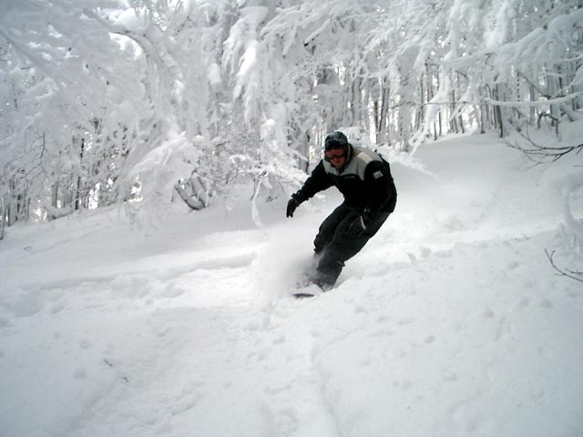 Markus im Wald zwischen H&uuml;ttenhang und FIS-Piste Michaela Dorfmeister