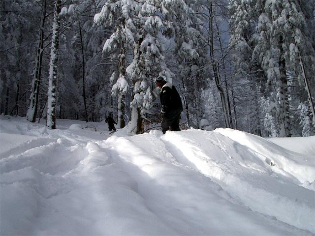Markus im Wald zwischen H&uuml;ttenhang und FIS-Piste Michaela Dorfmeister