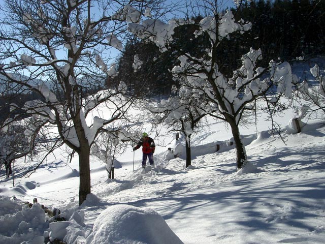 Erich auf der Sch&ouml;llerabfahrt