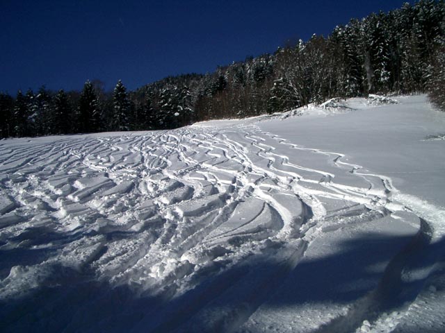 Schöllerabfahrt