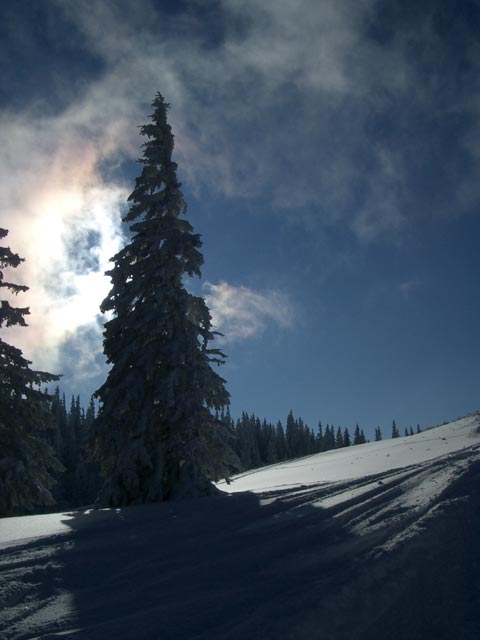 neben der Abfahrt des Schilifts