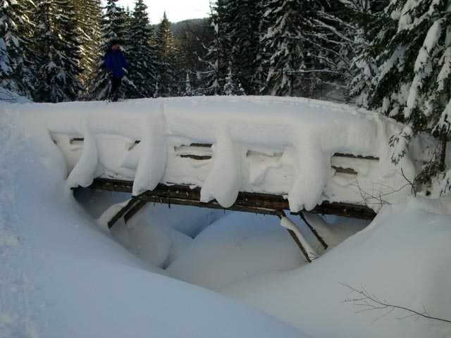 Br&uuml;cke im Schallergraben
