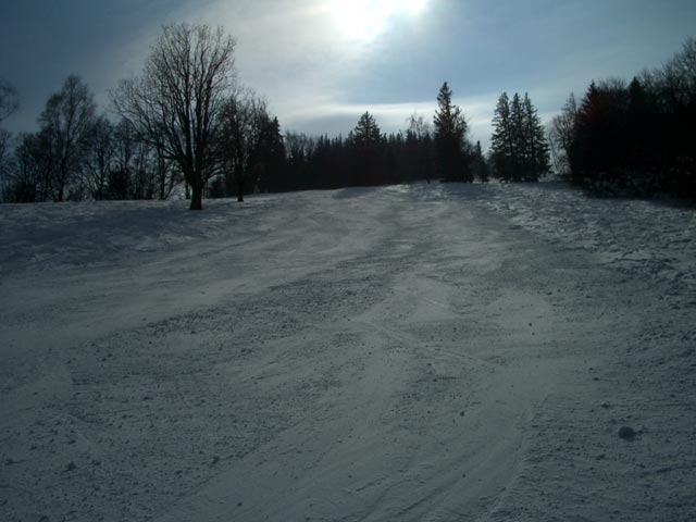 Verl&auml;ngerte 'Einser' Wiese