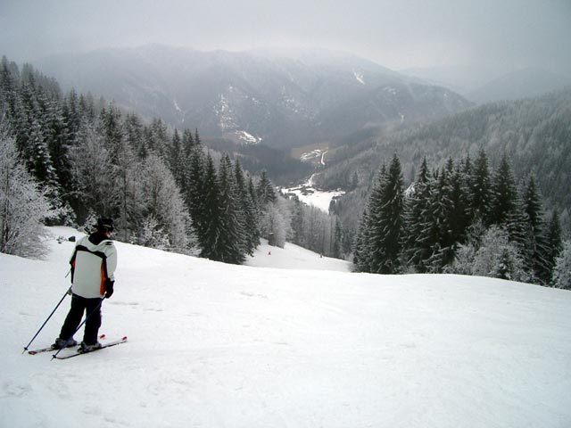 Daniela in der Gr&uuml;nau