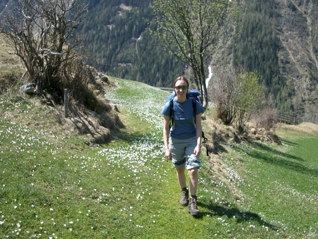 Reinhard-Schiestl Klettersteig: Carmen am Abgang