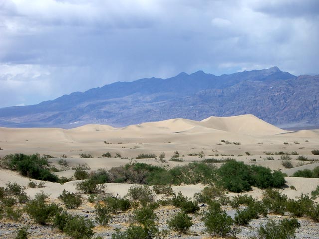Sandd&uuml;nen im Death Valley (10. Mai 2005)