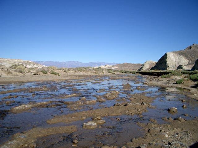 Salt Creek (11. Mai 2005)