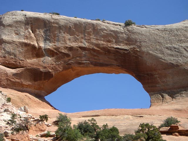 Wilson Arch (15. Mai 2005)