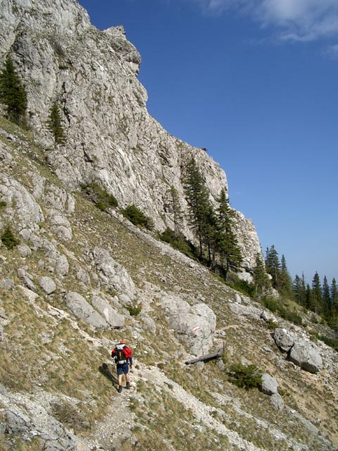 Erich auf Weg 805 zwischen Kulm Alm und Hörndl Alm (28. Mai)