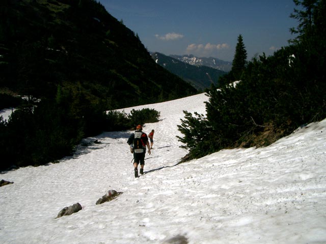Erich auf Weg 832 zwischen Steinwiese und B&auml;renloch Sattel (29. Mai)