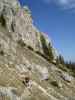 Erich auf Weg 805 zwischen Kulm Alm und Hörndl Alm (28. Mai)