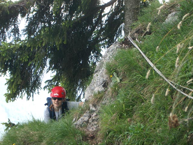 Frohnleitner Band: Daniela