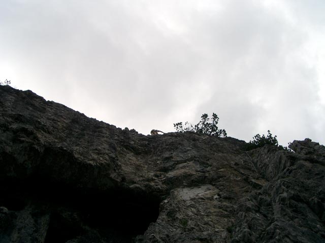 Übungsklettersteig Klettergarten Erl Spitze: Ich (18. Juni)