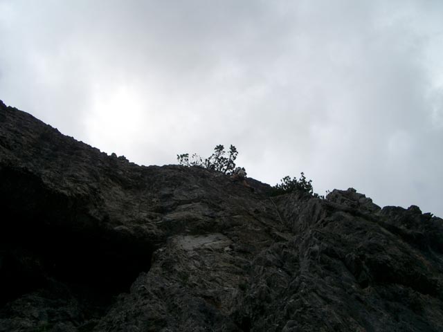 &Uuml;bungsklettersteig Klettergarten Erl Spitze: Ich (18. Juni)