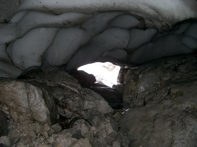 am Zirler Sch&uuml;tzensteig (19. Juni)