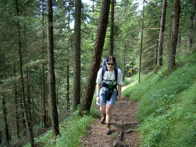 Daniela zwischen Bachwinkl und Peter Wiechenthaler-H&uuml;tte (3. Juli)