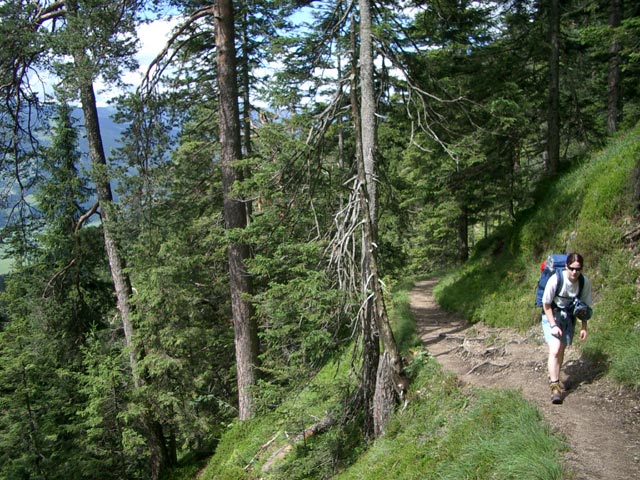 Daniela zwischen Bachwinkl und Peter Wiechenthaler-H&uuml;tte (3. Juli)