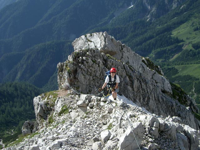 Wildentalklettersteig: Daniela (3. Juli)