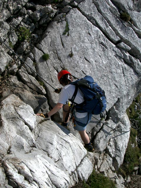 Wildentalklettersteig: Daniela (3. Juli)