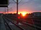 Sonnenaufgang über der Station Handelskai (9. Aug.)