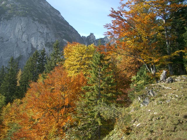 bei der Bergstation der Gosaukammbahn (8. Okt.)