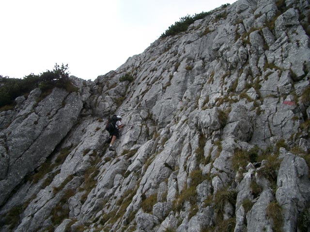 Gudrun auf Weg 631 zwischen Großem Donnerkogl und Steinriesenkogl (8. Okt.)