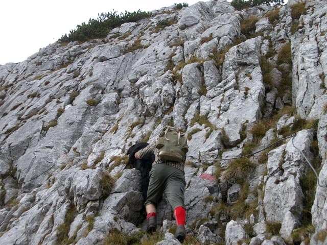 auf Weg 631 zwischen Großem Donnerkogl und Steinriesenkogl (8. Okt.)