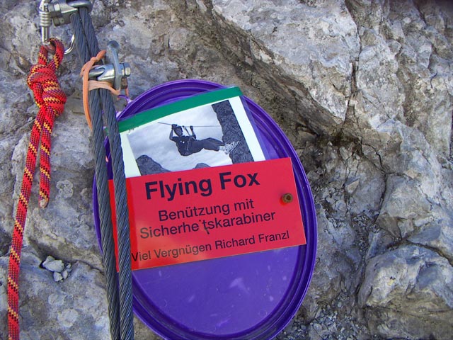 'Königsjodler': Flying Fox (29. Okt.)