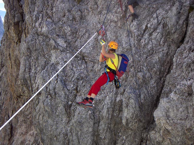 'Königsjodler': Flying Fox (29. Okt.)