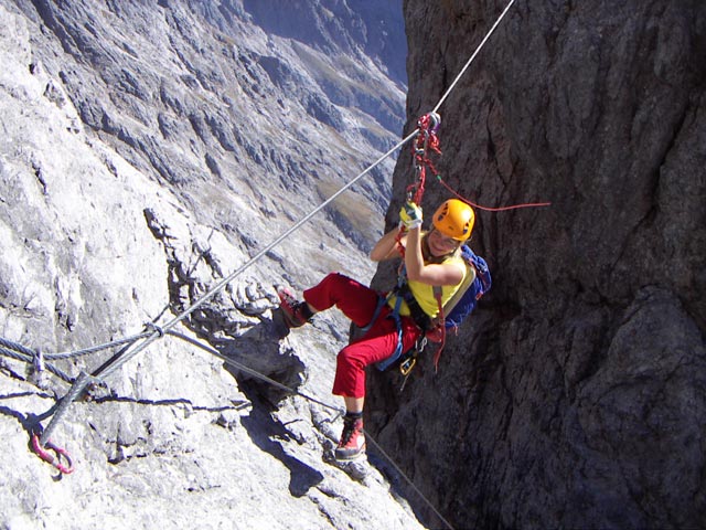 'Königsjodler': Flying Fox (29. Okt.)