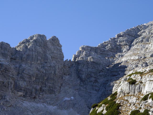 Nacketer Hund und S&uuml;dostgrat des Mitterhorns vom Gamskopf aus (12. Nov.)