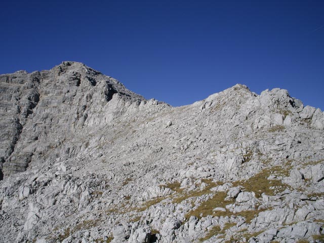 Nacketer Hund (12. Nov.)