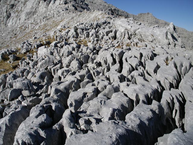 S&uuml;dostgrat des Nacketen Hunds (12. Nov.)