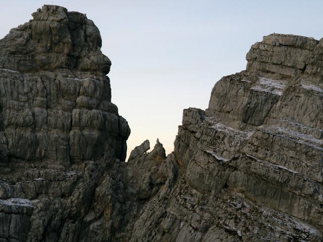 Nacketer Hund und 'Heinrich und der L&ouml;we' (13. Nov.)