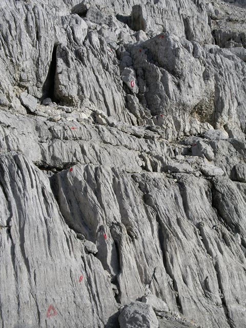 Weg 612 'Nuaracher H&ouml;henweg' zwischen Gro&szlig;em Rothorn und Schaflegg (13. Nov.)