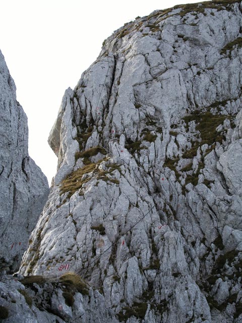 Weg 612 'Nuaracher Höhenweg' zwischen Schaflegg und Seehorn (13. Nov.)