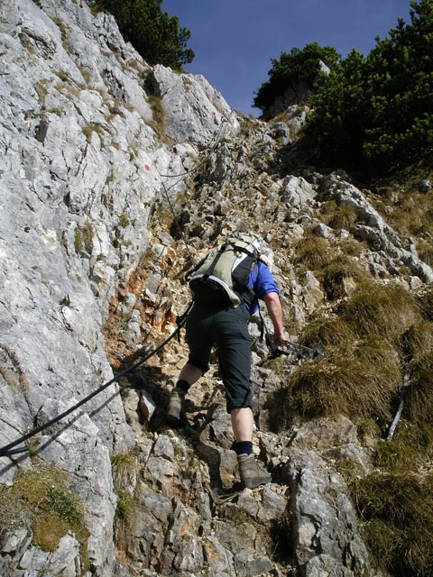 Weg 612 'Nuaracher H&ouml;henweg' zwischen Ulrichsh&ouml;rndl und St. Ulrich am Pillersee (13. Nov.)