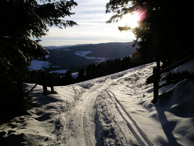 freies Gel&auml;nde westlich der Sonnenhangabfahrt